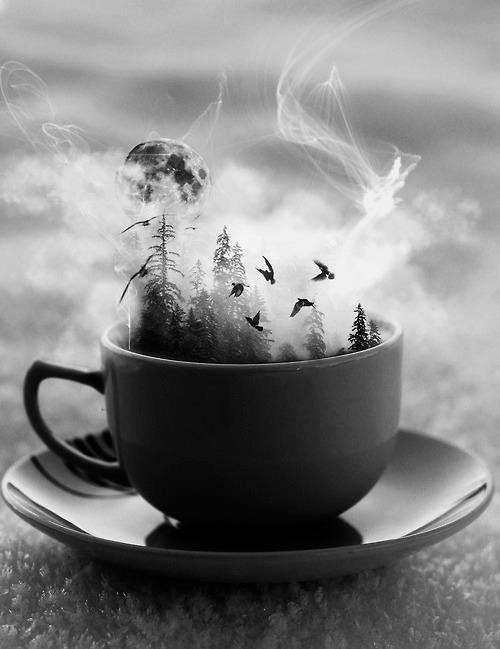 cup forest