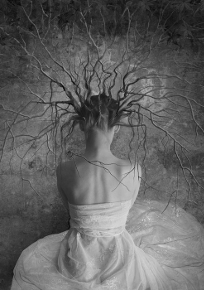 Roots1