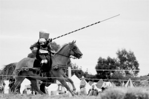 Trina Horse Perfect