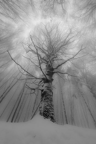 Winterage