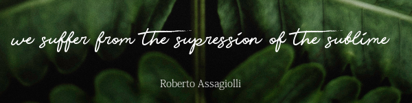 We suffer from the suppression of the sublime - Roberto Assagiolli