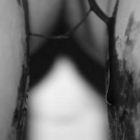 bleed1