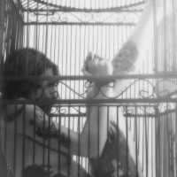 cage