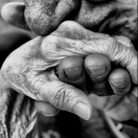 Tenderness is an Essential Nutrient Tenderness