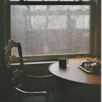 Window 6